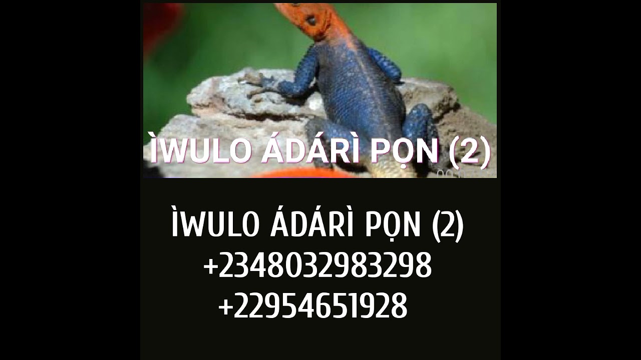 Ìwúlò ÁDÁRÌ PỌN PART TWO, +2348032983298, +2348089038658, +22954651928, +2250584811131