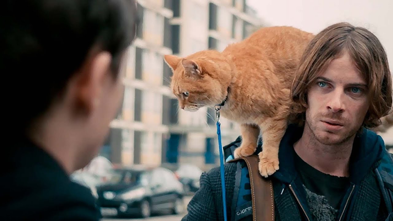 Našel zatoulanou kočku, aniž by tušil, že mu zachrání život