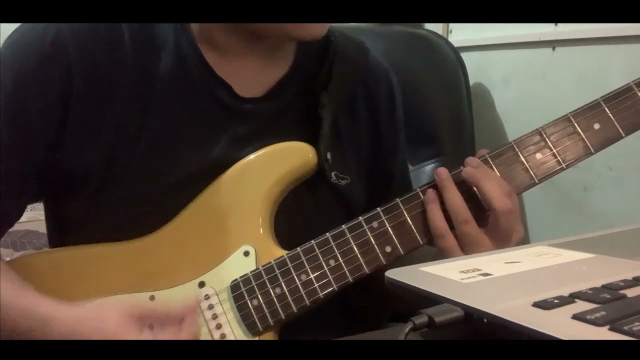 Total Jerks - A.C.A.B. Guitar Cover