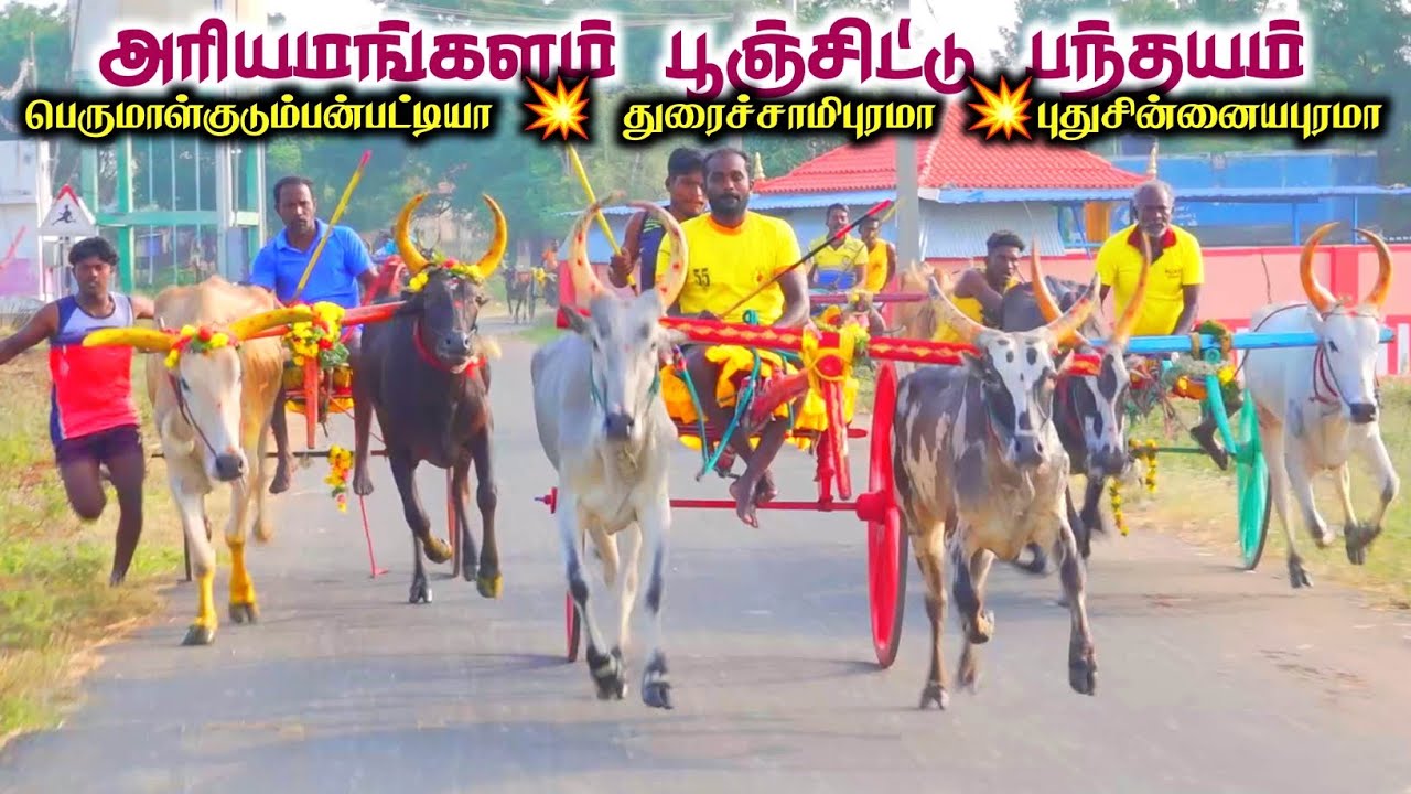 அரியமங்களம் பூஞ்சிட்டு பந்தயம்