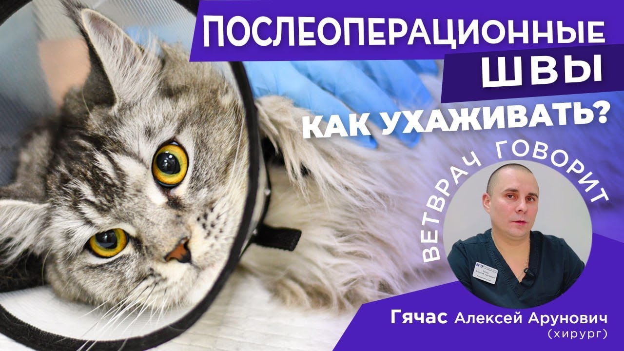 Разошлись швы