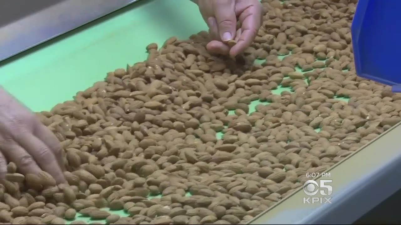 California Almond Growers Brace For Tariff Imposed By China