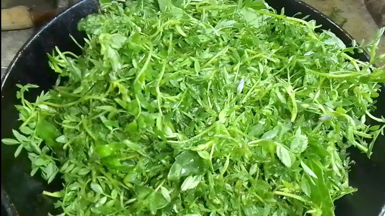 Chana ka sag aur Bhat khaea bahut swadisht lagta hai
