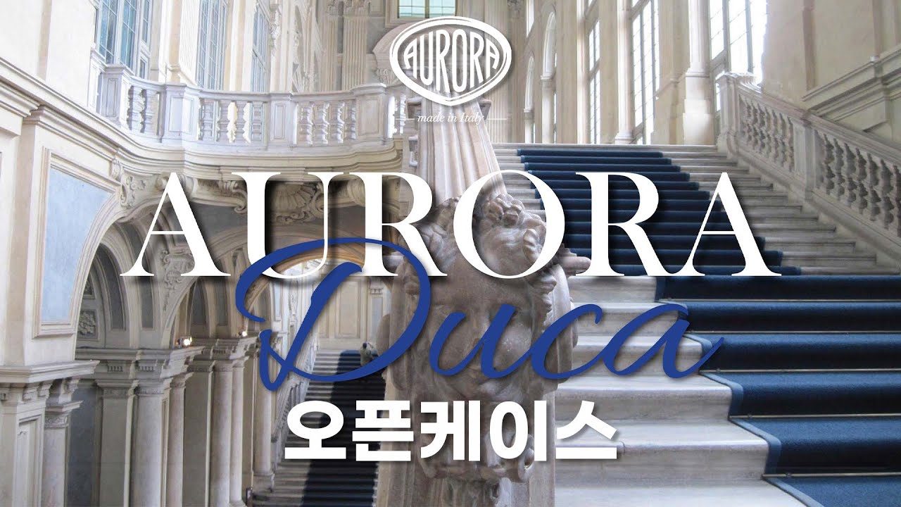 오로라 DUCA 만년필 오픈 케이스