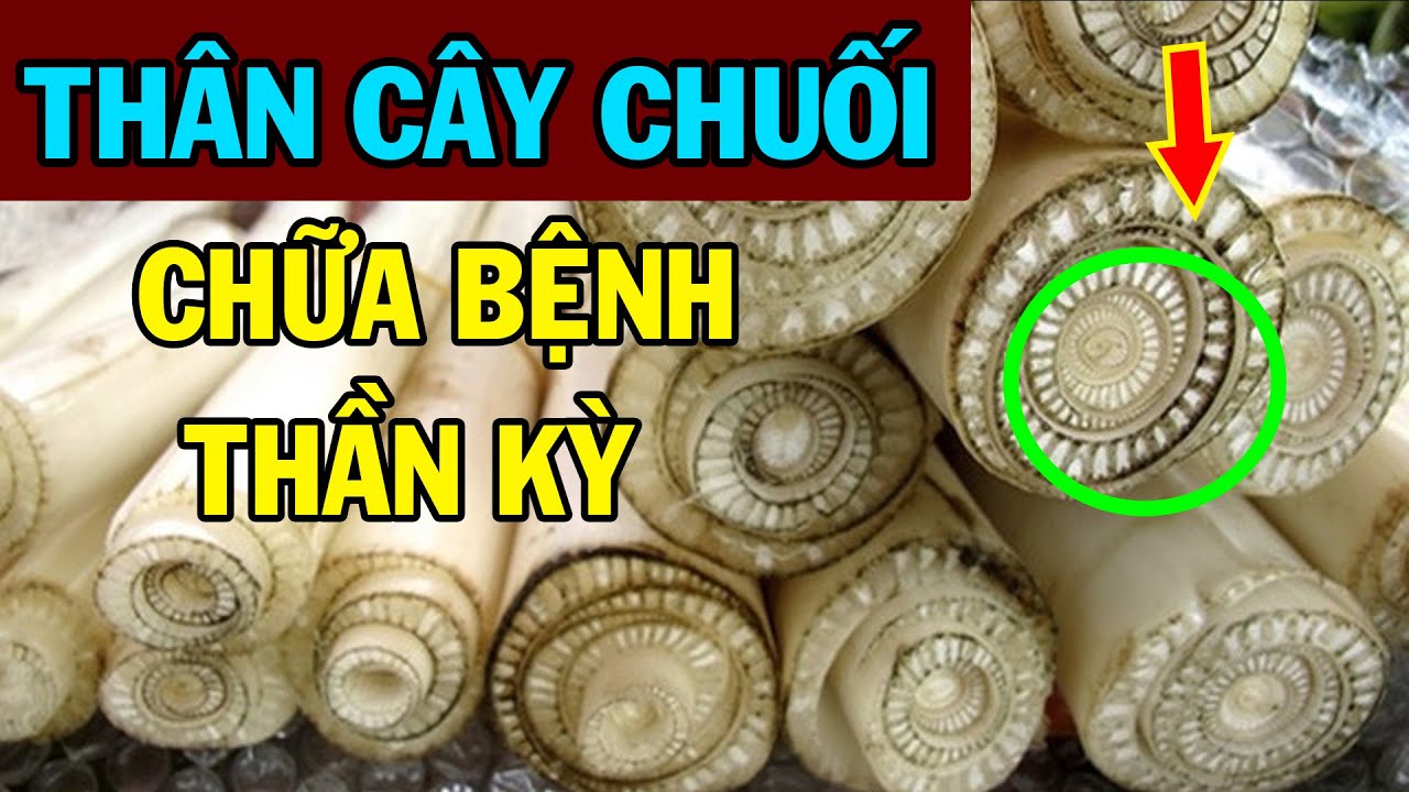 Tác Dụng Chữa Bệnh Thần Kỳ Của Thân Cây Chuối Mà Người Việt Đang Bỏ Phí - 300 Nghìn 1 Khúc Ở Nhật