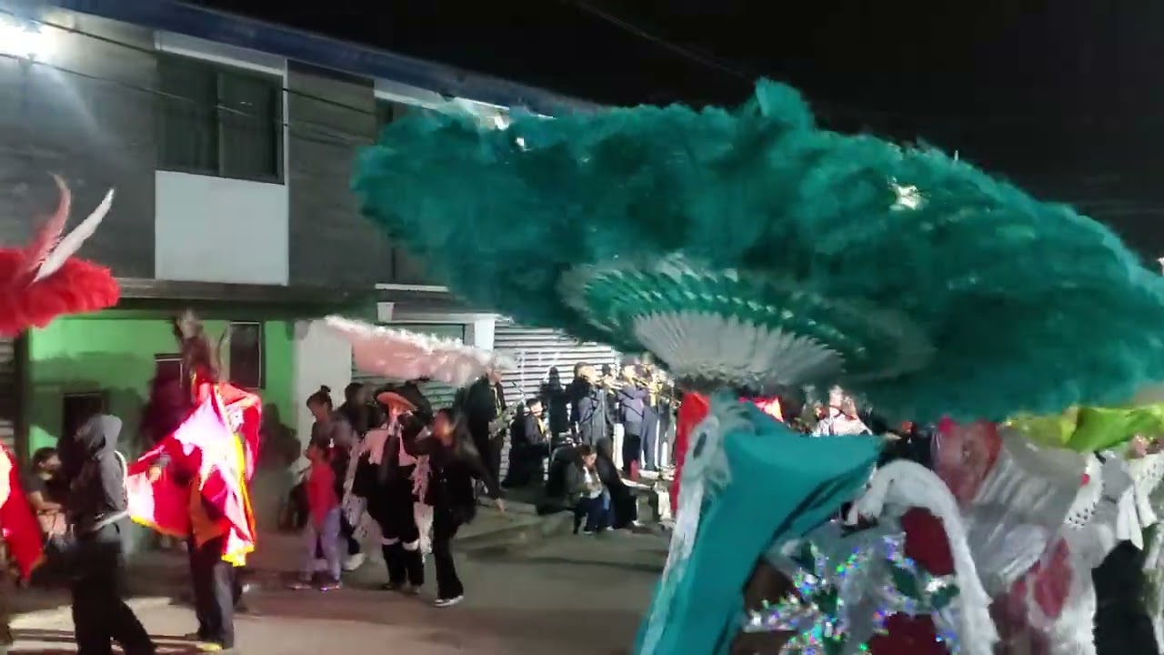 Carnaval San lorenzo almecatla 2026