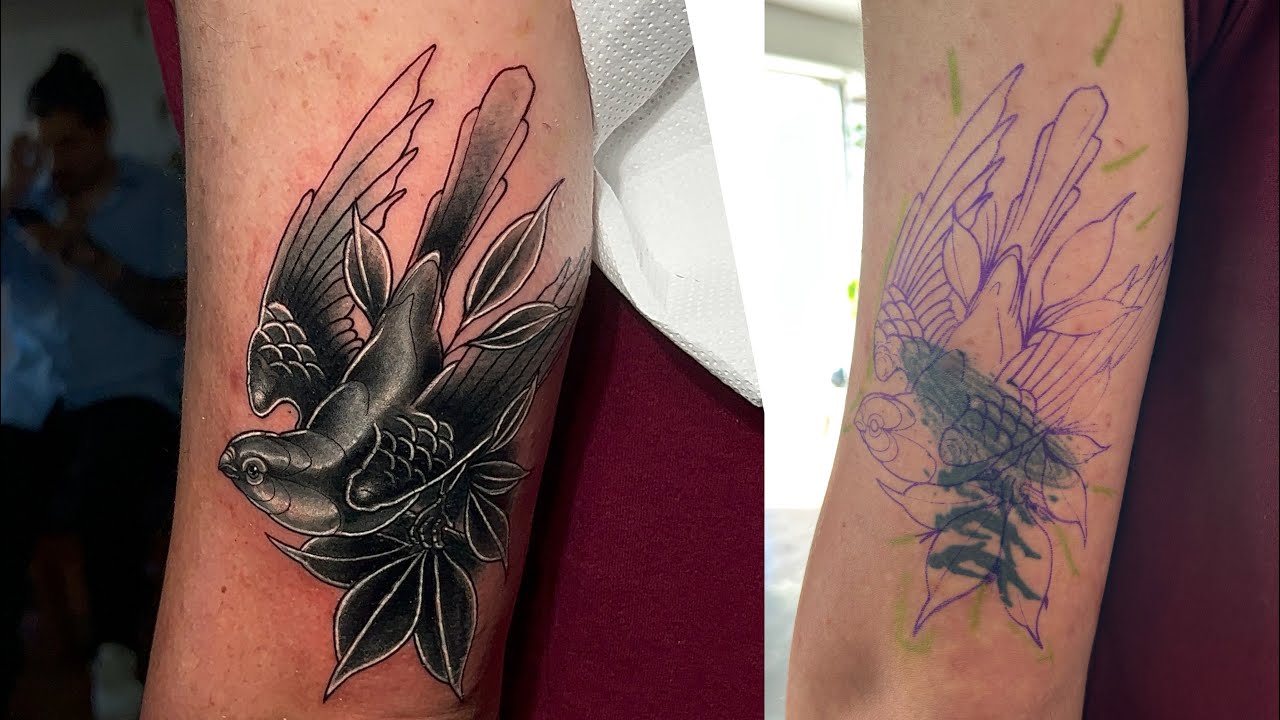Cover up pajaro tattoo neotradicional video completo