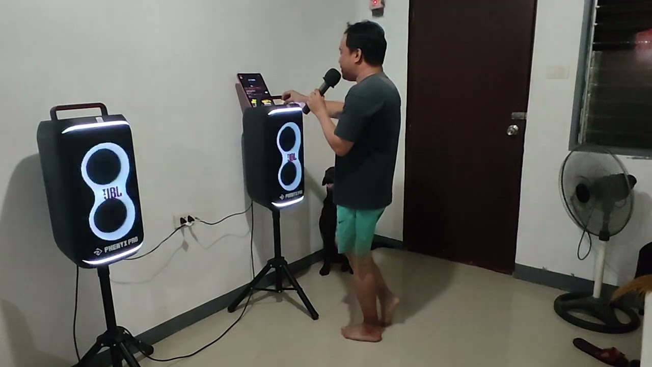 PartyBox JBL 120 karaoke mode. With my audience Daisy The Labrador