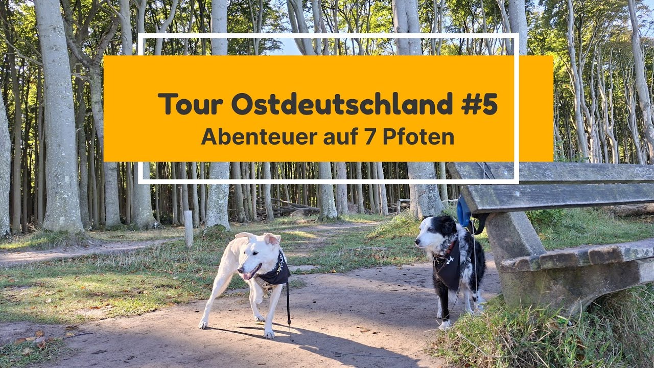 Tour Ostdeutschland Teil 5 - Abenteuer auf 7 Pfoten