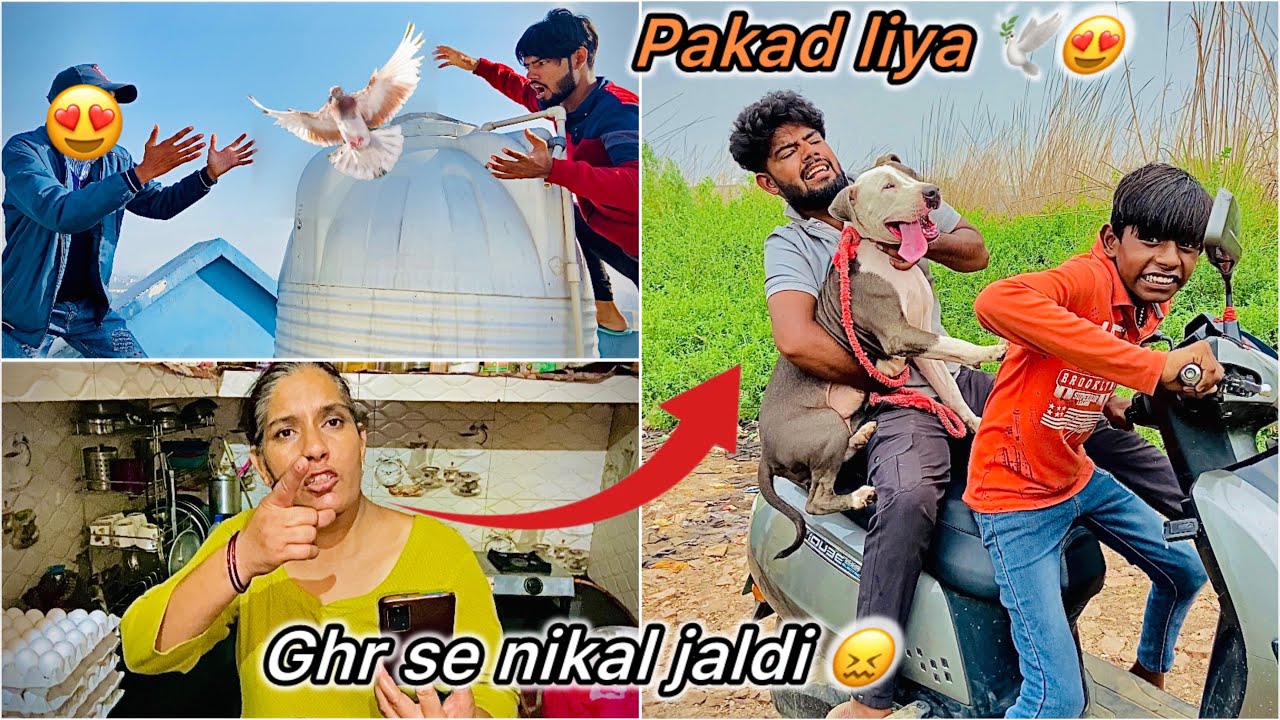 Dost ka Tounament wala Kabutar pakd liya 😍 || Mummy se ladai hogyi 😤
