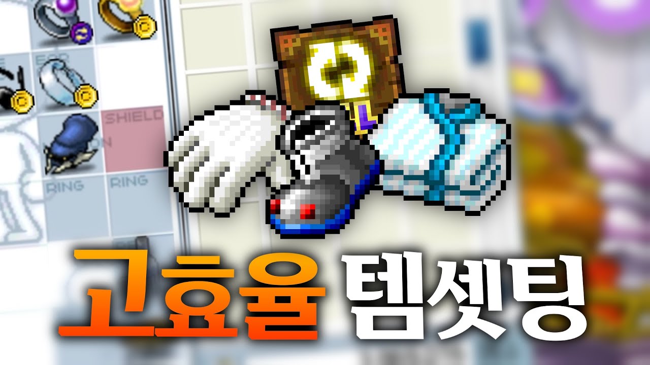 효율적 템셋팅 | 메이플랜드