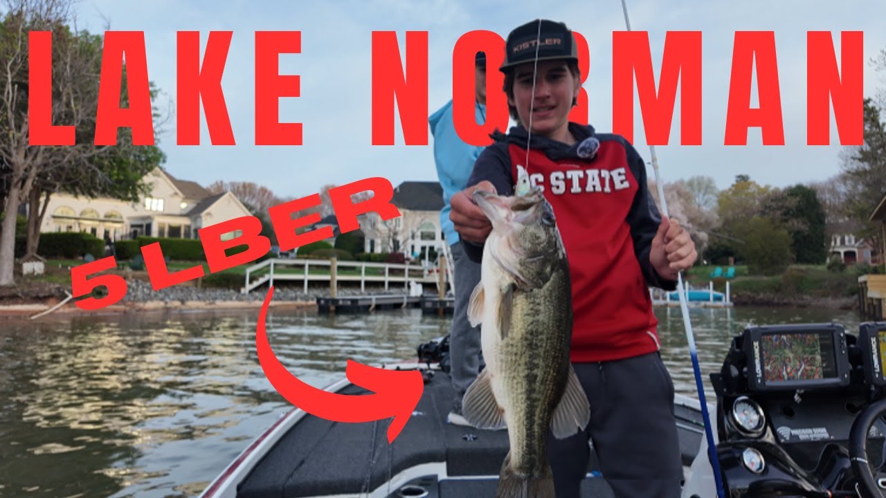 WE CAUGHT 30 FISH AND A 5 POUNDER  |  Lake Norman Bass Fishing
