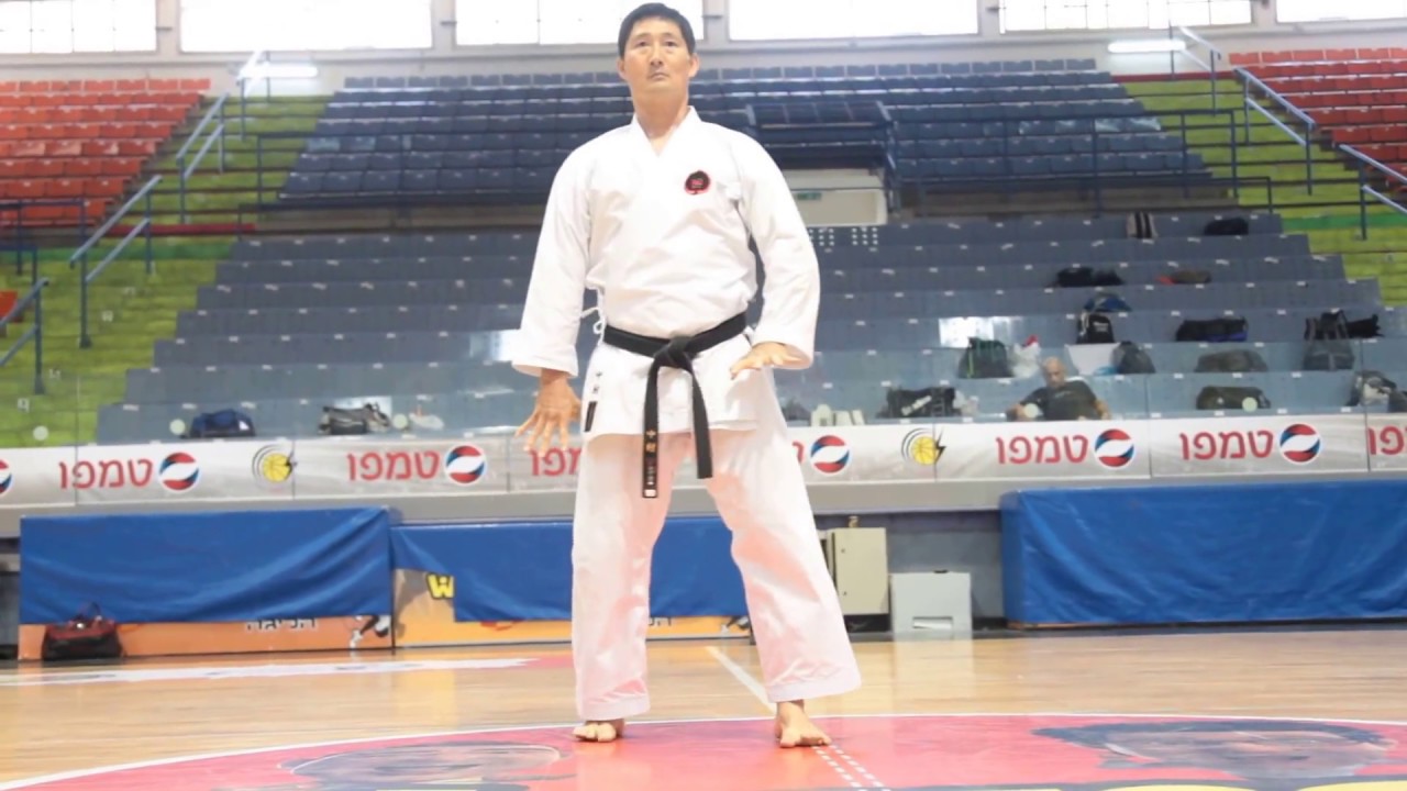 SUPARINPEI KATA by Sensei Tetsuji Nakamura - Gasshuku 2017 Israel