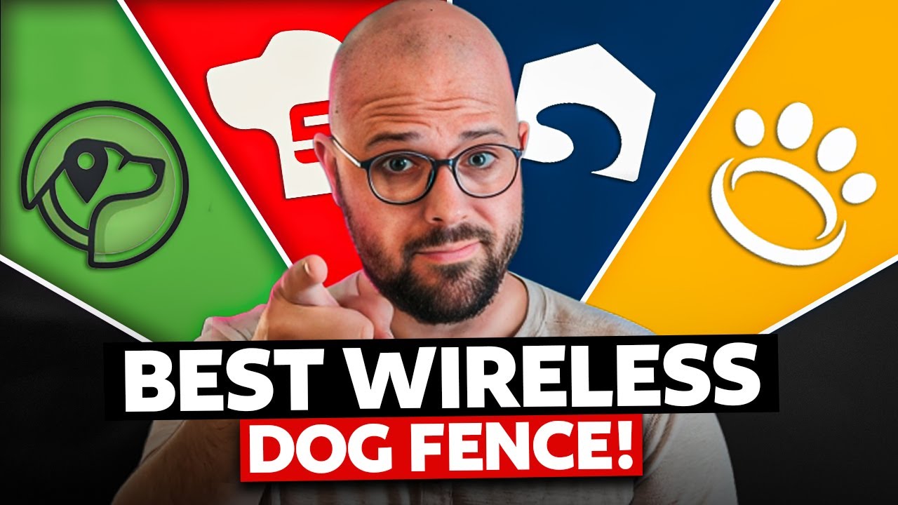 Best Wireless Dog Fence (GPS, Electric, Invisible)— Which One Actually Works?