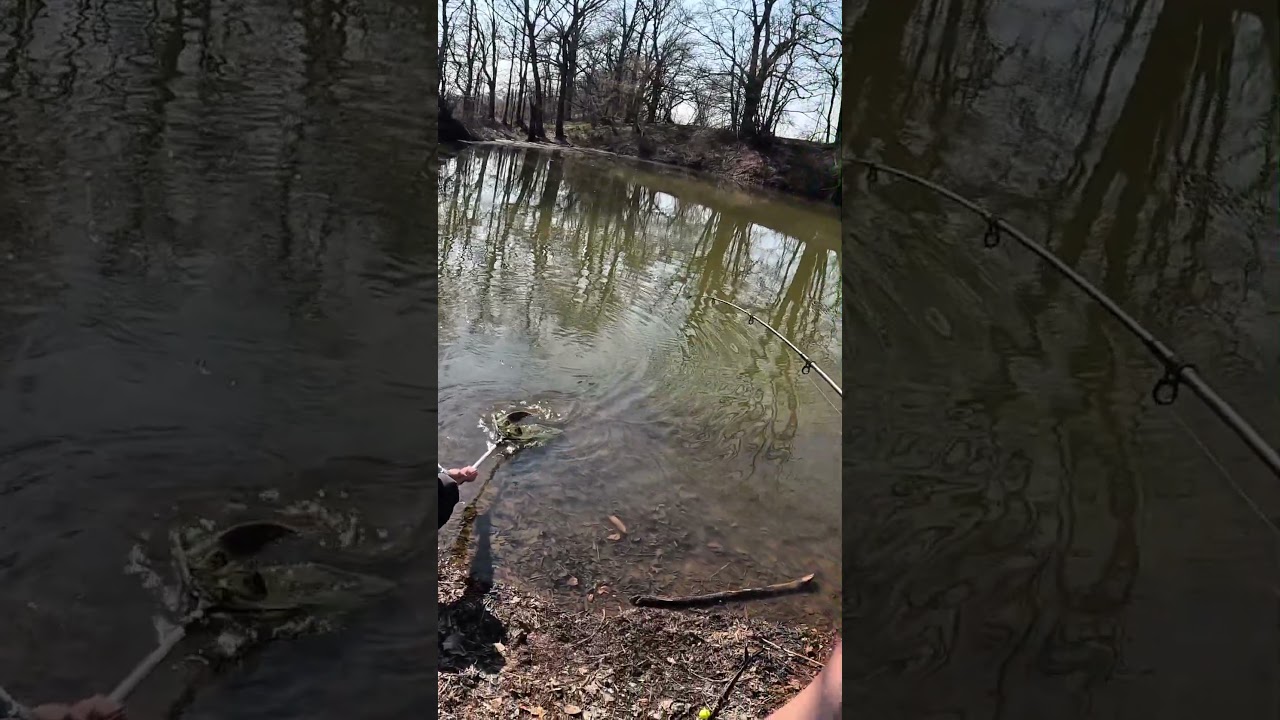 A jaký je tvůj osobák?🎣🐟