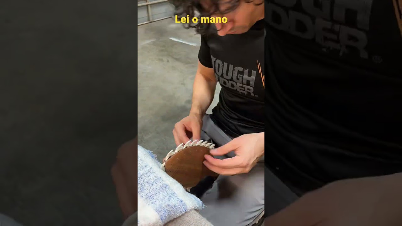 Making an ancient Hawaiian weapon in 15seconds!