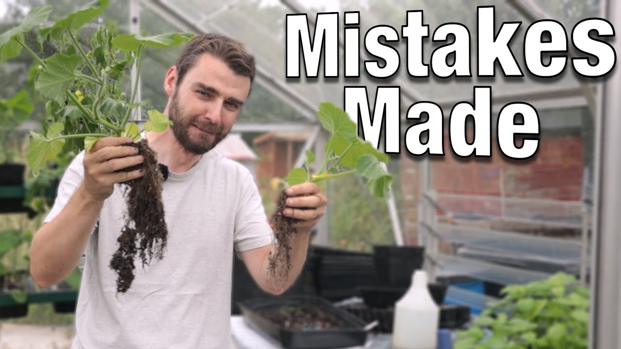 Squash Malfunction | Keeping Up With The Allotment Work