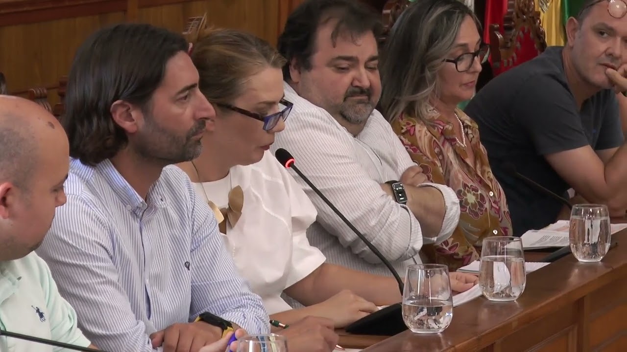 PLENO ORDINARIO 14-07-2025