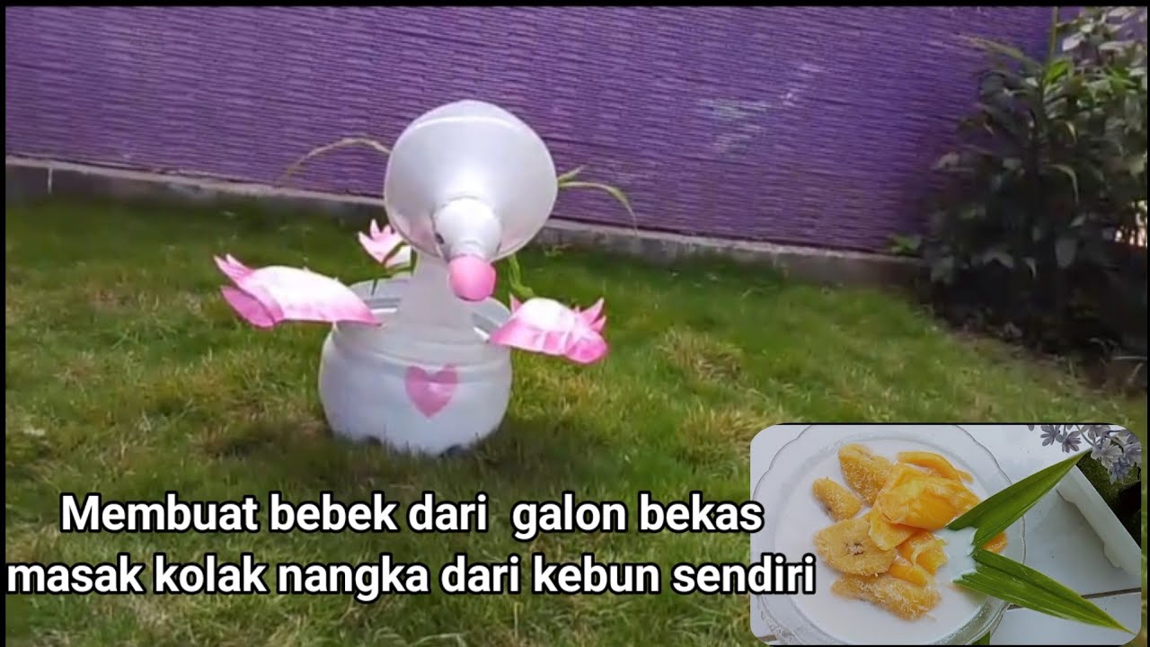 Memanfaatkan galon bekas jadi bebek||bikin kolak nangka hasil panen di kebun sendiri@ifafauzi13