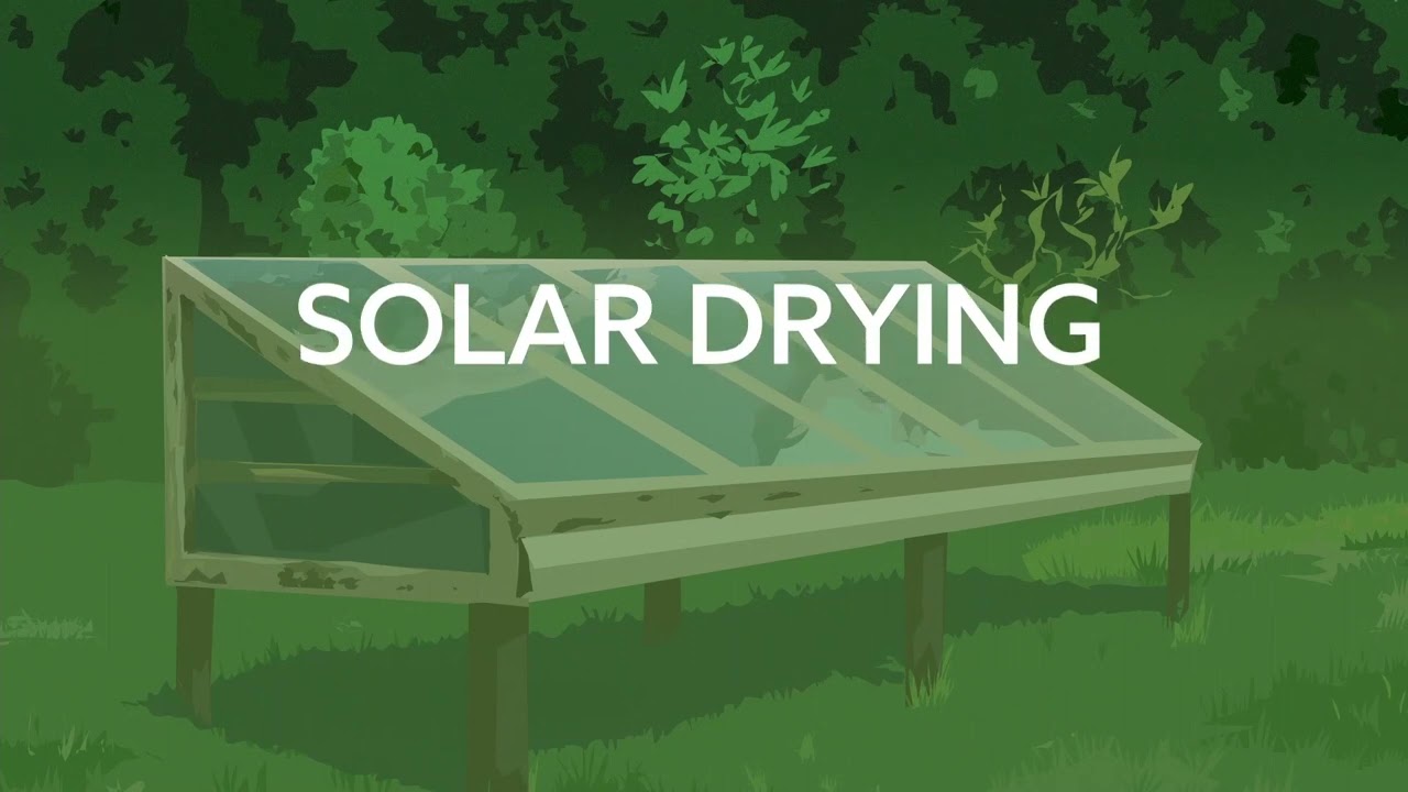 Innovations in solar milling and drying for agriculture