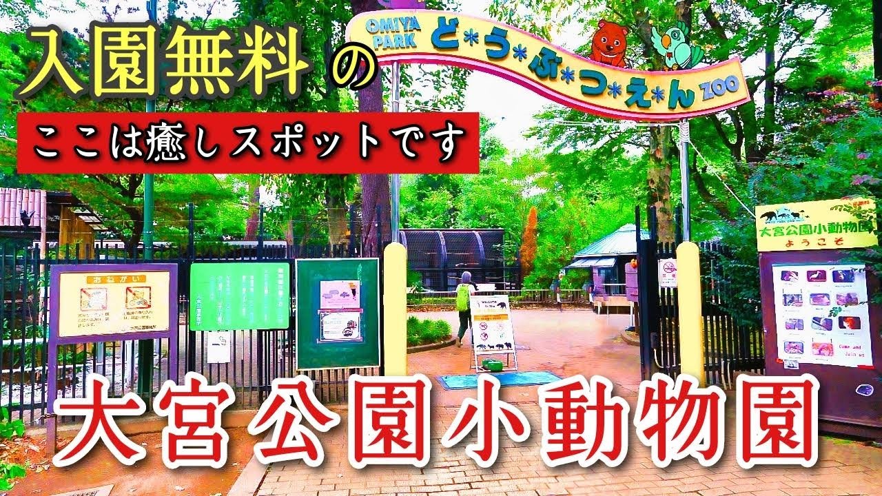 大宮公園小動物園(無料)【お出かけ前の予備知識(知って見た方が断然楽しめます)】コスパ最高の癒しスポットです japan