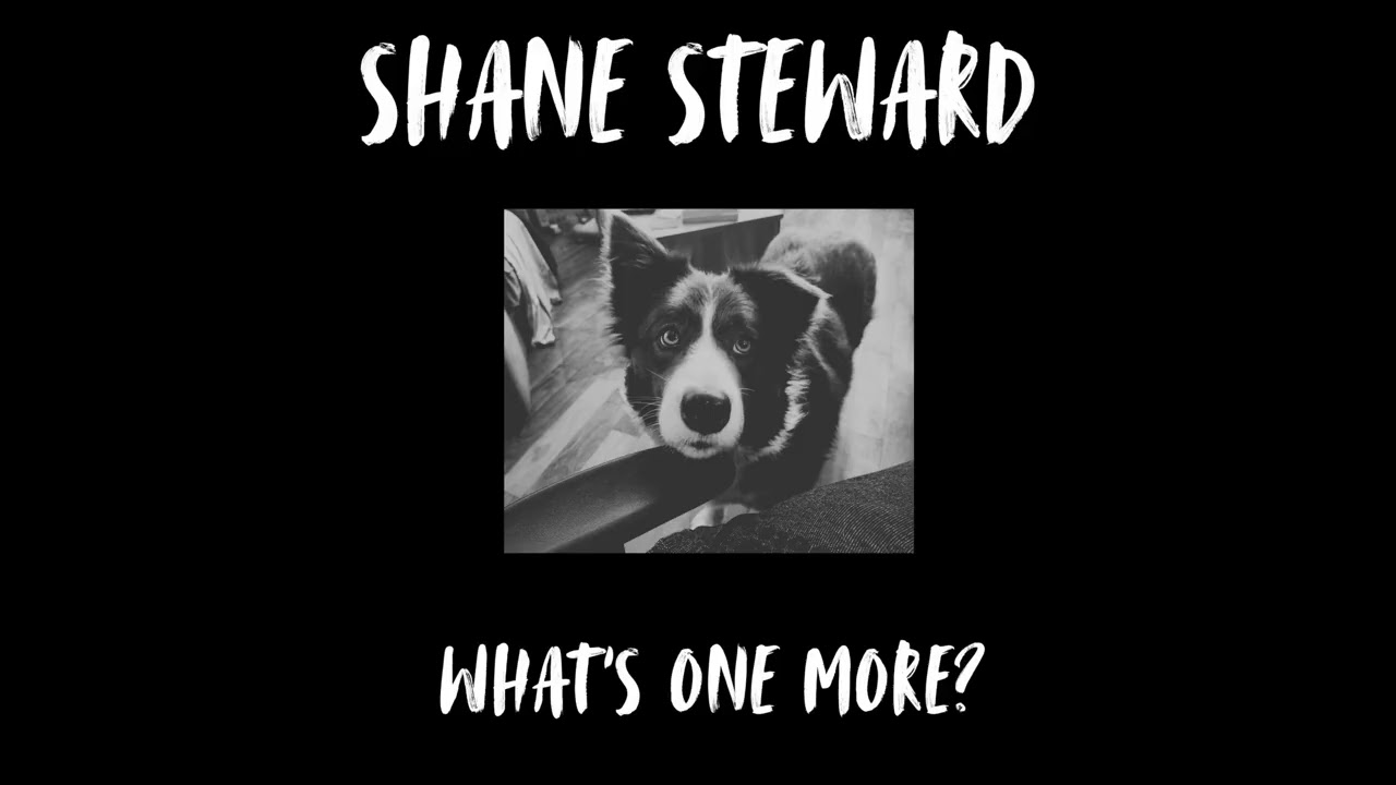What's One More? - Shane Steward Original