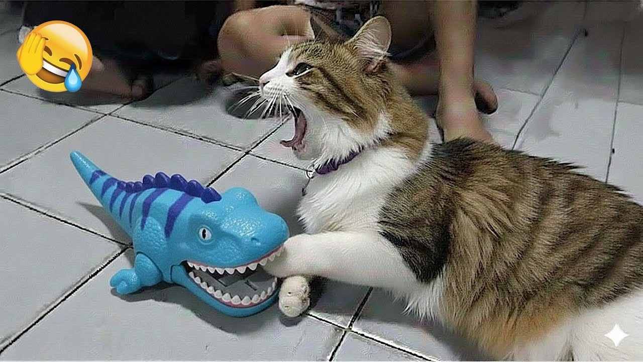 Try Not To Laugh 🤨 Funniest Cats & Dogs 😻 Funny Animals