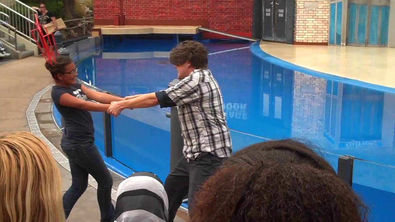 Sea Lions Tonite! - Full Show - 2013