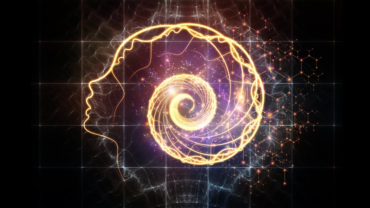 Does Free Will Exist? - What Is Will?