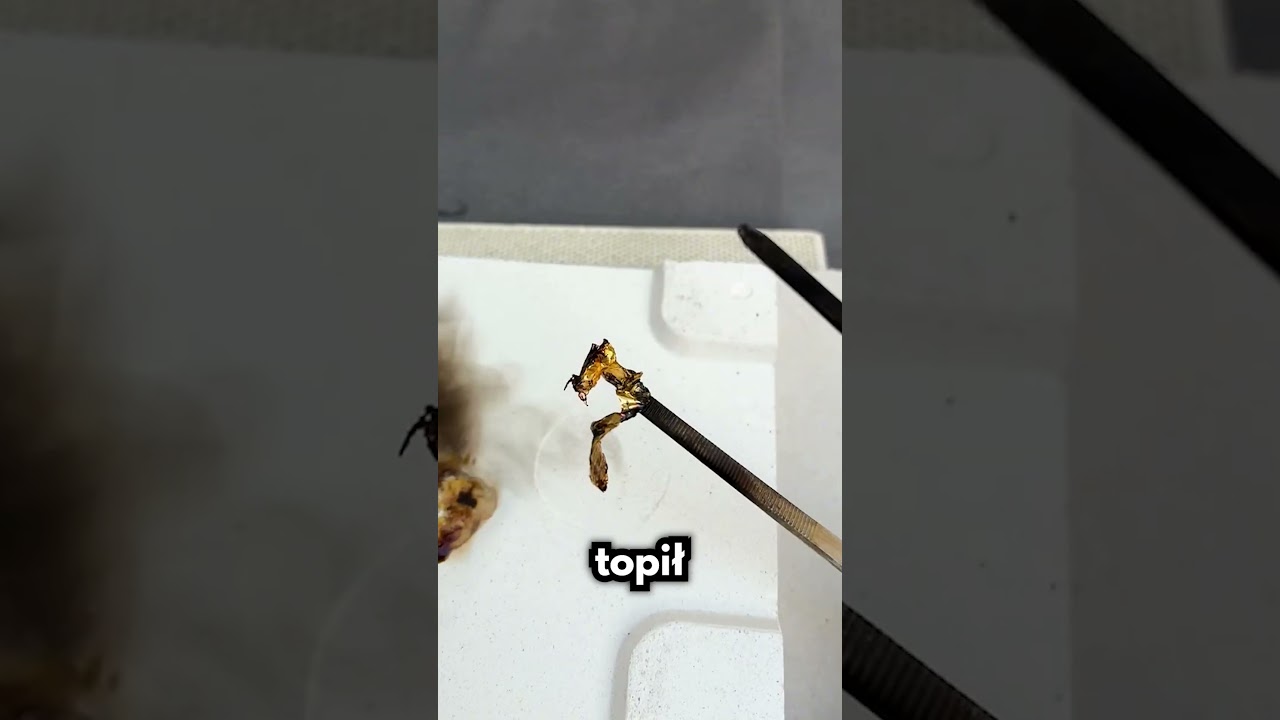 Czy To W Og&oacute;le Prawdziwe Złoto?!🧐