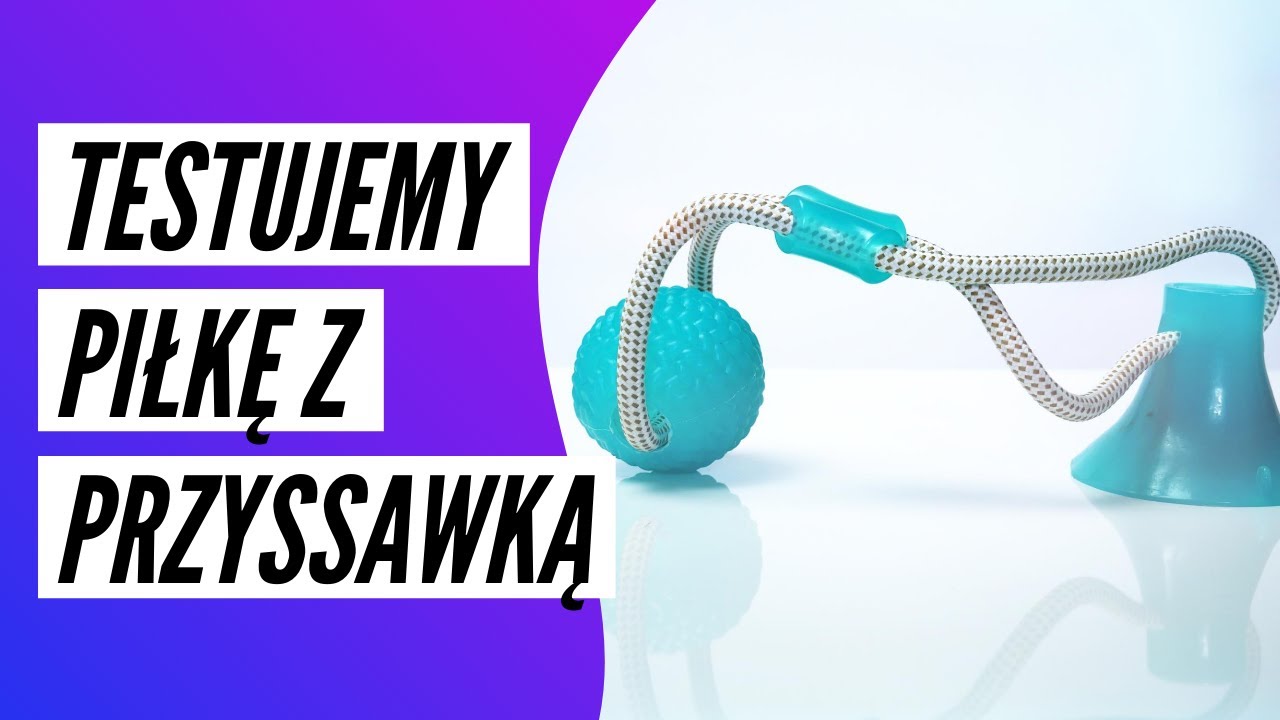 TESTUJEMY PIŁKĘ Z PRZYSSAWKĄ DLA PSA