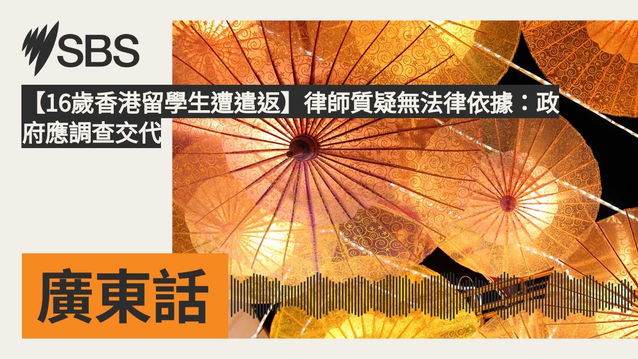 【16歲香港留學生遭遣返】律師質疑無法律依據：政府應調查交代 | SBS Cantonese - SBS廣東話節目