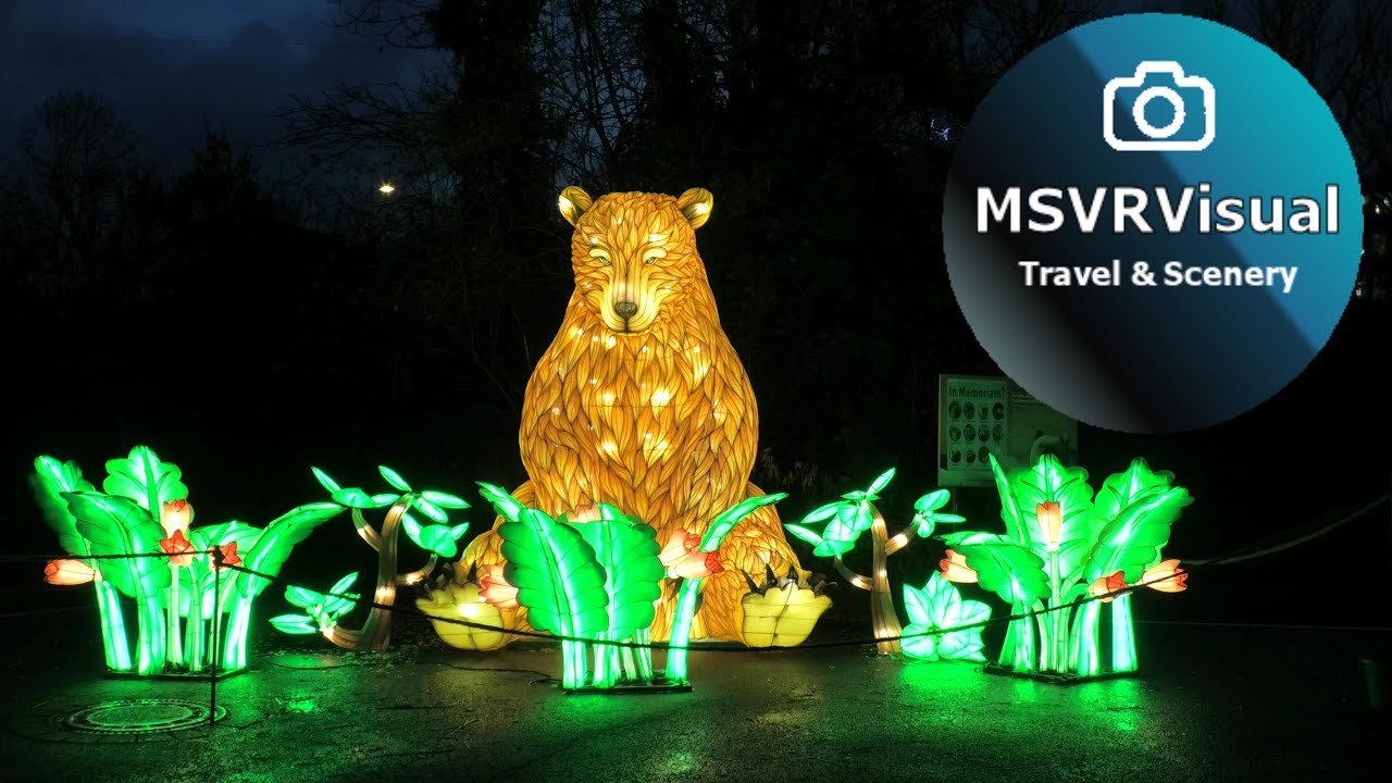 China Light Festival at Cologne Zoo in 4K