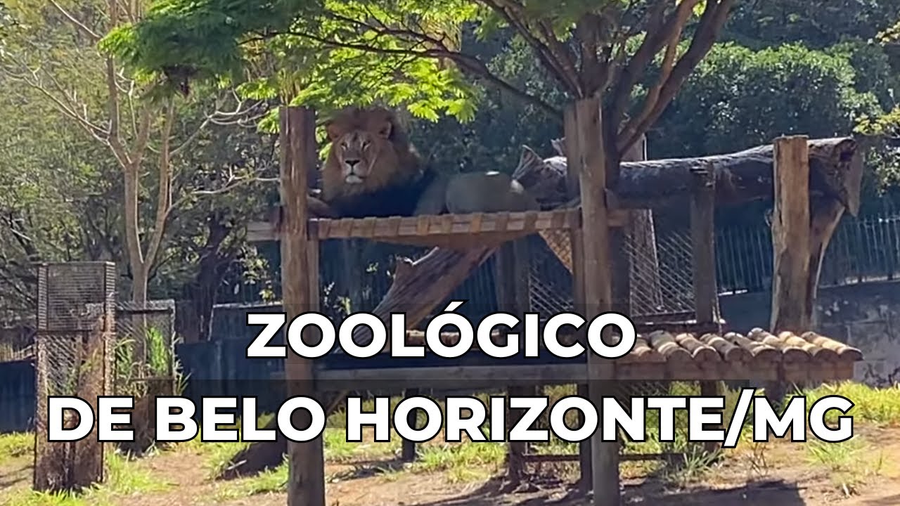 VISITA AO ZOOLÓGICO DE BELO HORIZONTE/MG