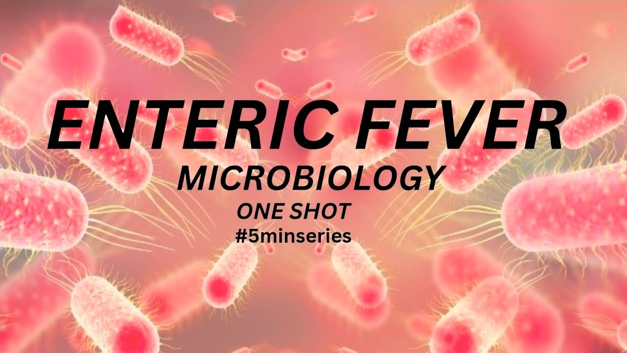 Enteric fever || #microbiology #mbbs #oneshot #5minseries #notes #theedutricky 