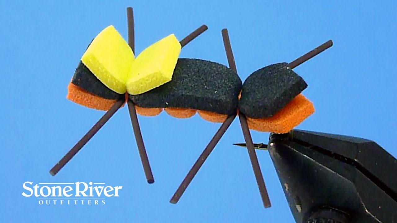 Tying the Chernobyl Ant