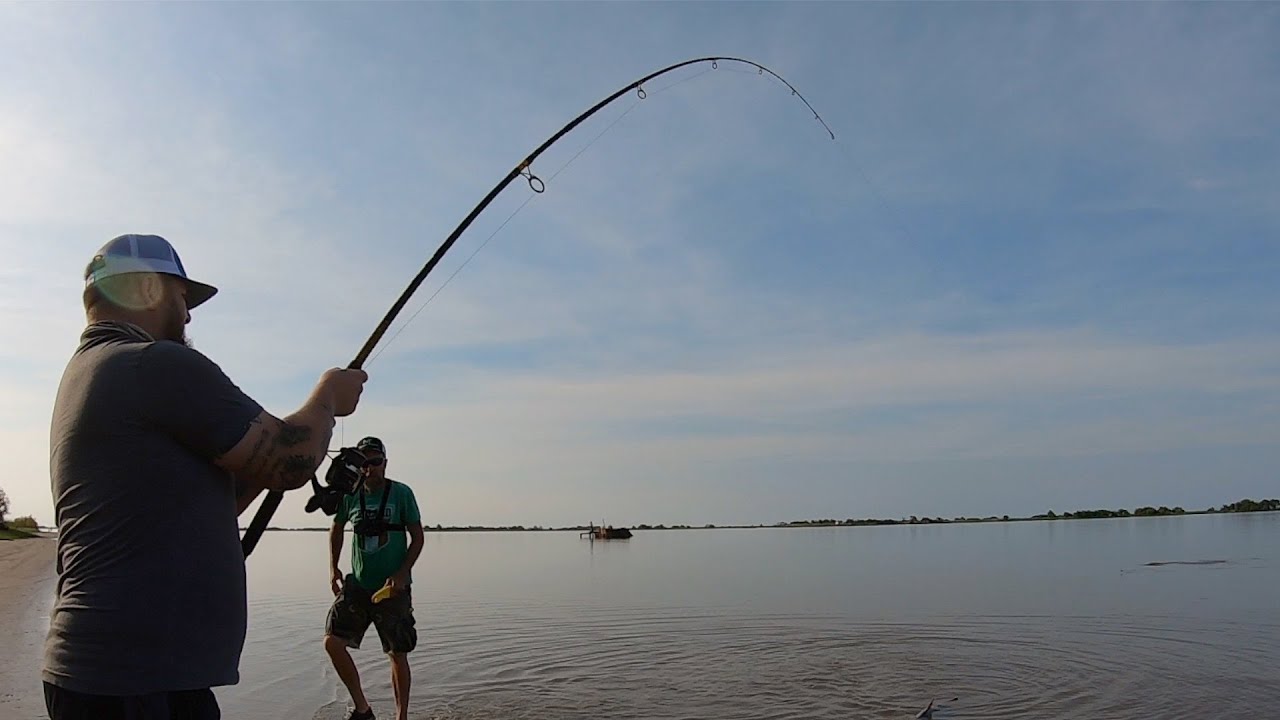 We Caught Shark In The Mississippi River