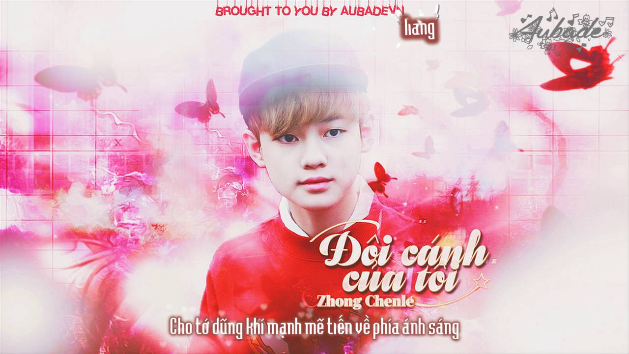 Vietsub + Kara | Đôi cánh của tôi (我的翅膀) - Chenle (钟辰乐)
