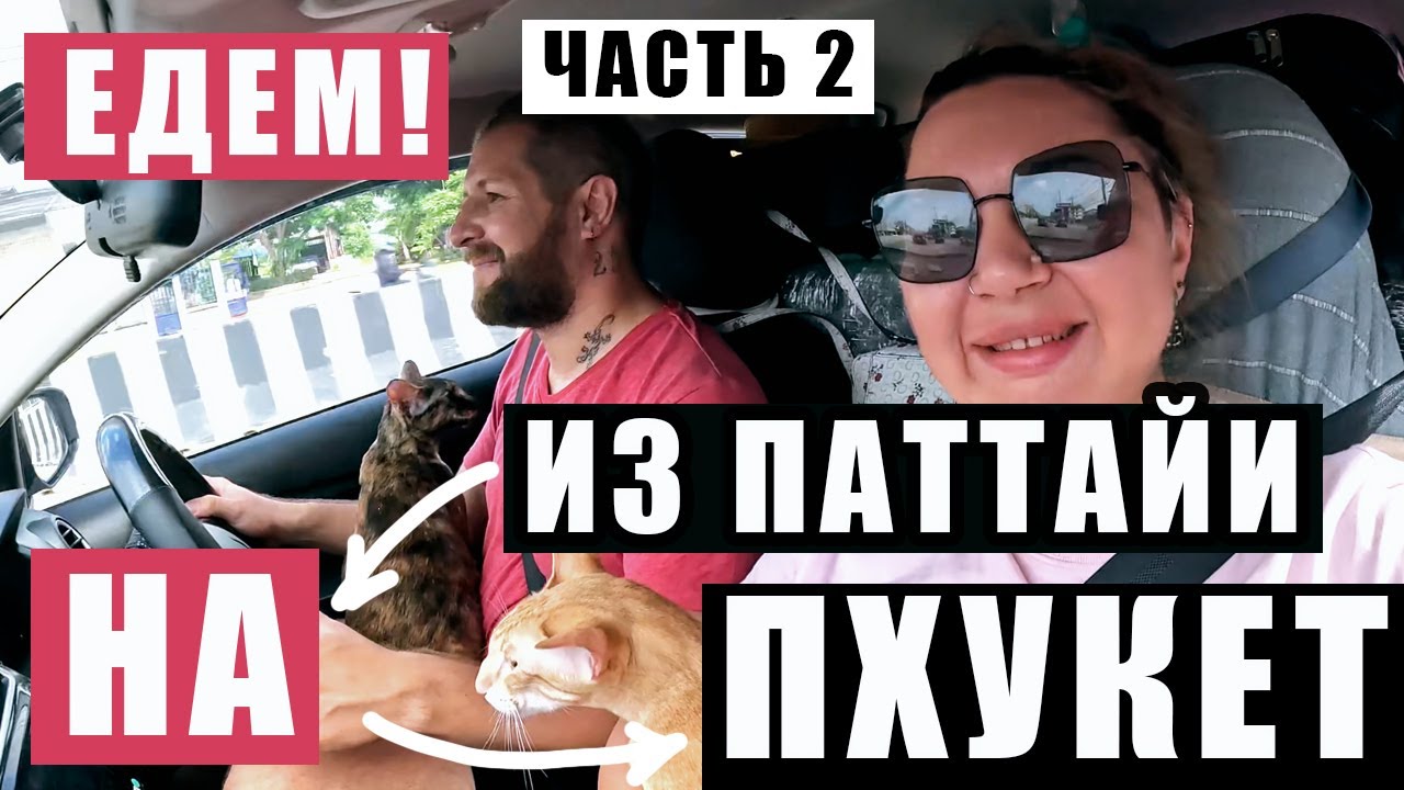 ПРОЩАЙ ПАТТАЙЯ! ЕДЕМ ЧЕРЕЗ ТАЙСКУЮ ГЛУШЬ, ЕДИМ ПАПОРОТНИК, ДУРИАНЫ ОПТОМ, КОТЫ В ШОКЕ!