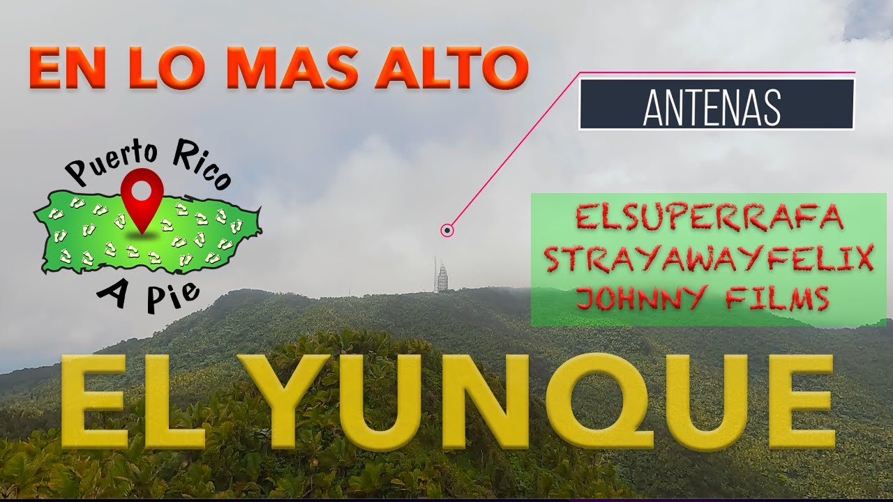 ⭕️ RAIN FOREST “EL YUNQUE” A PIE👣 (TREMENDA MOJA) 💦