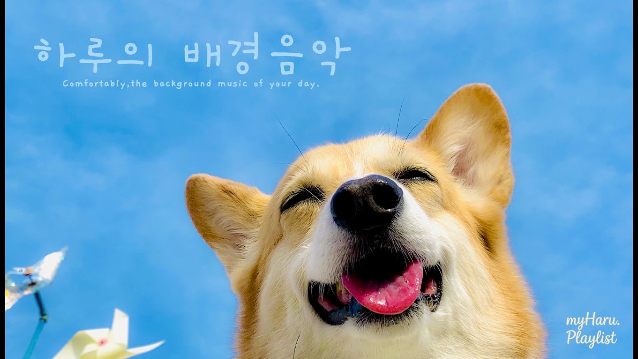 가끔 하늘을 봐, 기분이 조금 나아질거야 | Soft Melodic · Indie Pop · Chill Acoustic