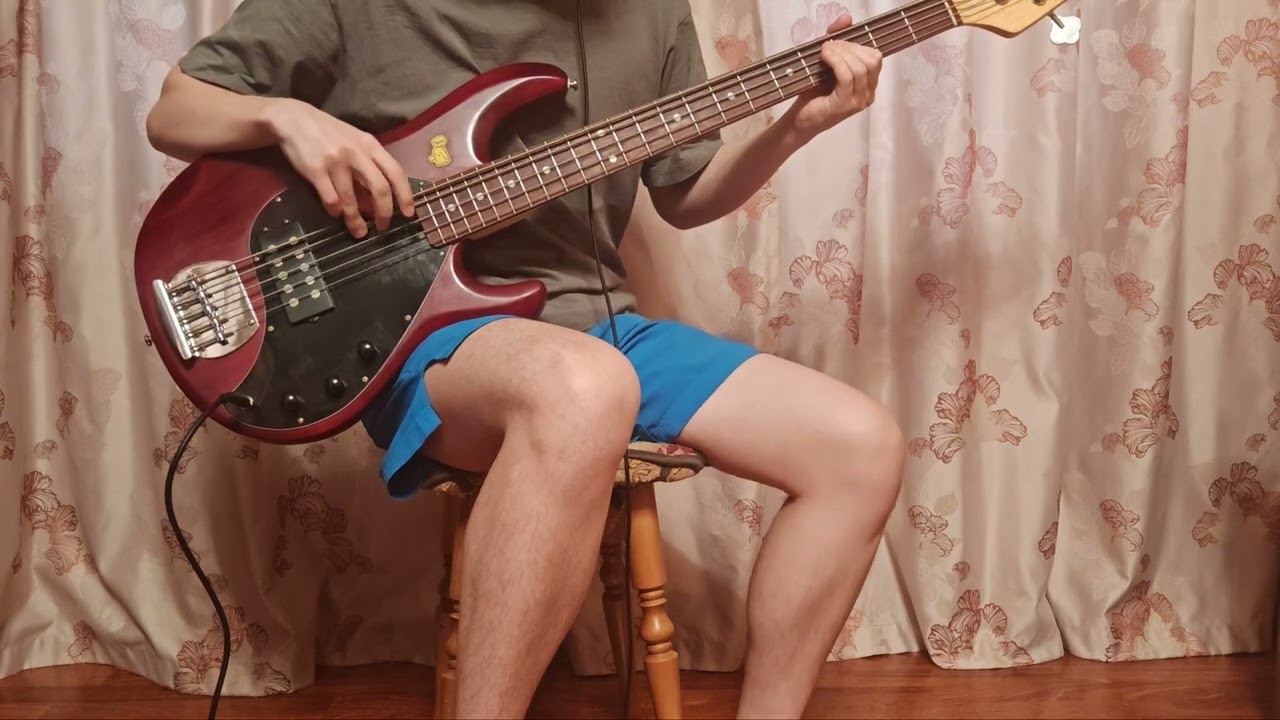 No Man's Land (ЛондонParis) - Падая в ночь [Bass cover]