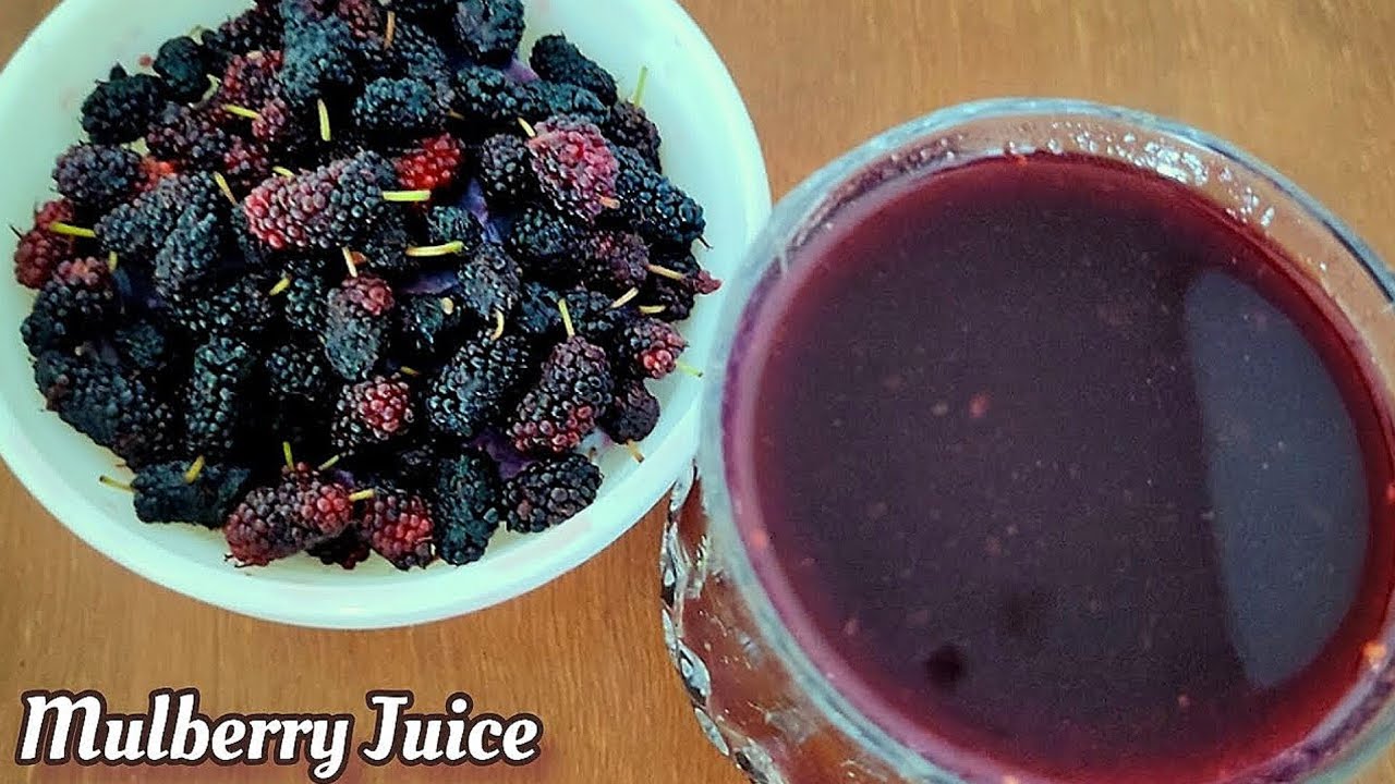 Mulberry Juice | Mulberry Recipes | Mulberry Juice Recipe | How to make Mulberry Juice | Shahtoot