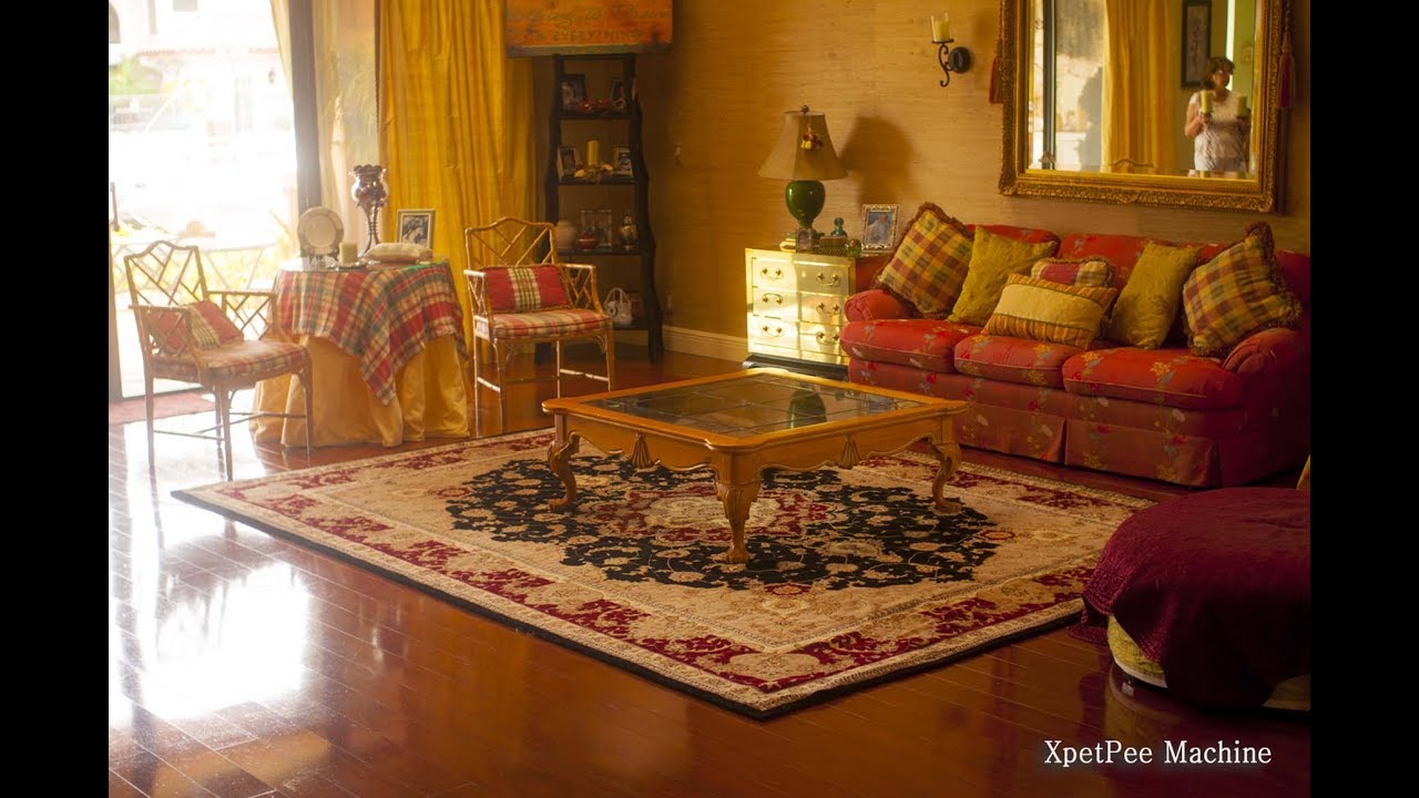 remove yellow pee stains from oriental rug by PetPeePee