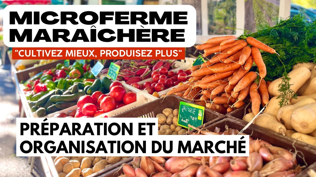 Préparer son marché comme un pro : astuces pour maraîchers