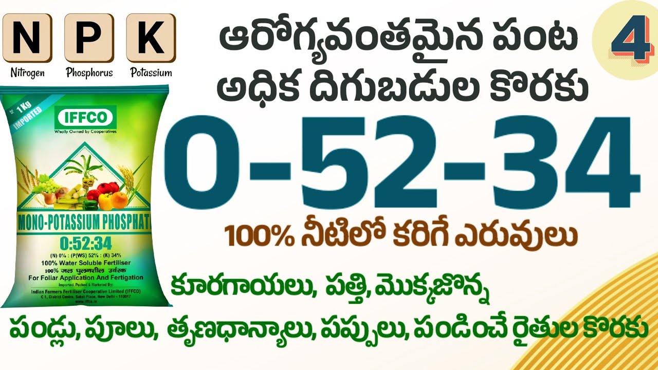 #0-52-34 #water soluble fertilizer telugu ##0-52-34 #Mono Potassium Phosphate