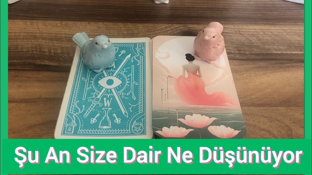 Hem #desteseç hem #kollektif Şu An (videoya denk geldiğiniz an) Sizinle İlgili Duygu ve Niyetleri
