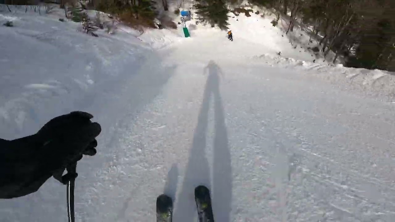 Skiing Brauneck piste 1