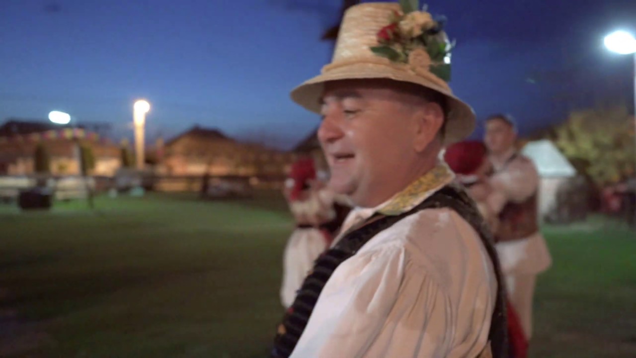 CORNEL BORZA - Dant Batranesc