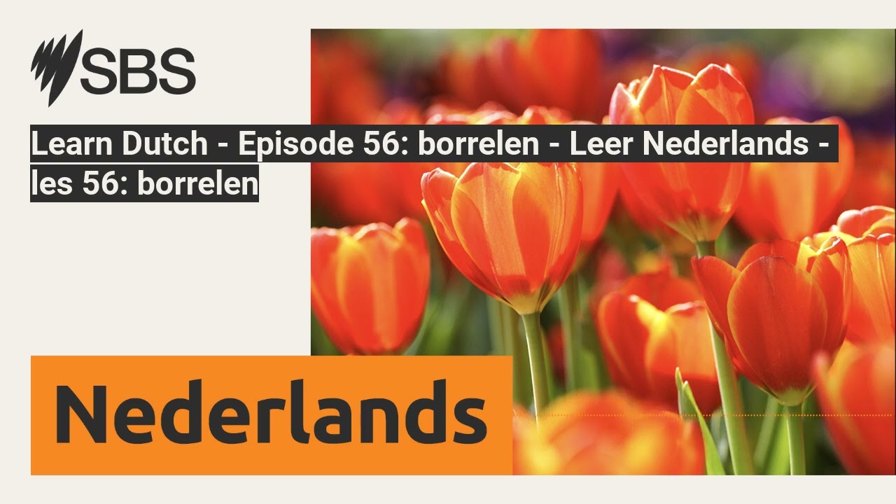 Learn Dutch - Episode 56: borrelen - Leer Nederlands - les 56: borrelen | SBS Dutch - SBS Nederlands